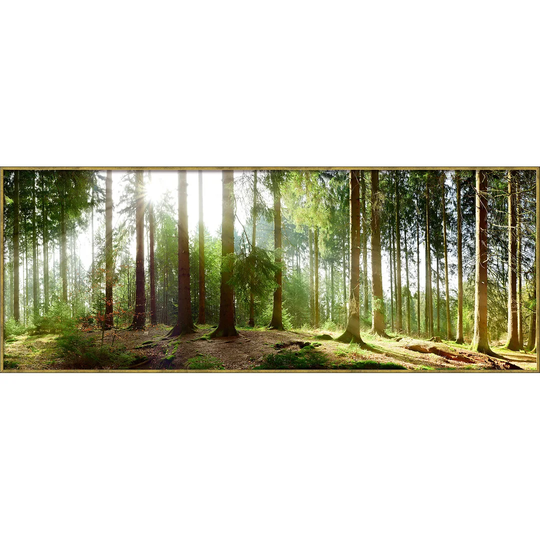 Woods Framed Graphic Art Print Poster