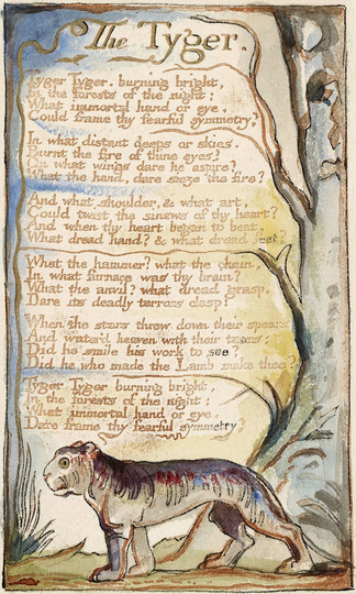 Songs Of Innocence & Experience, Plate 36, The Tyger | Bentley 42 William Blake - 1789 To 1794