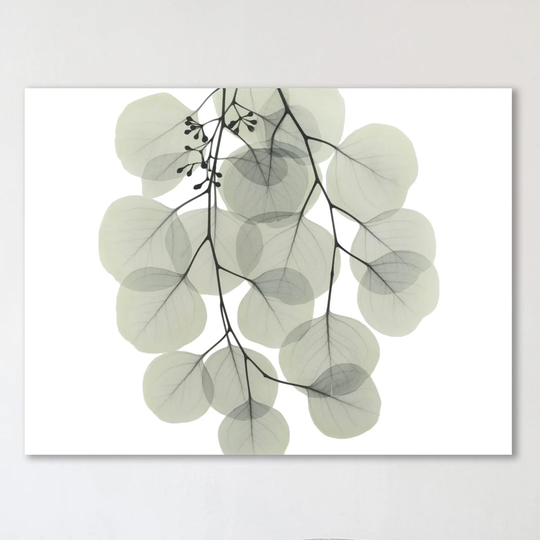 Descending Eucalyptus 4 - Wrapped Canvas Graphic Art Print