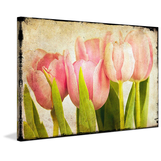 Pink Tulips Cu by Honey Malek - Wrapped Canvas Graphic Art Print