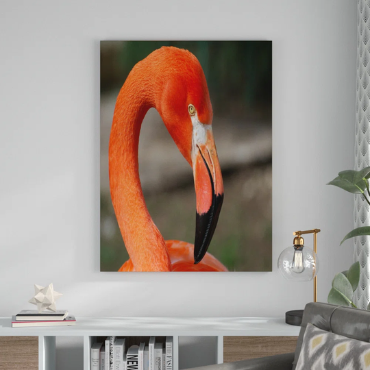 Fly Framed Graphic Art on Canvas