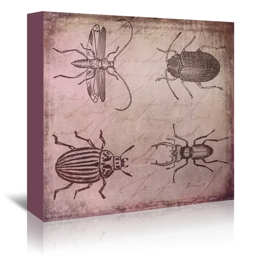 Vintage Animal Color 7 - Graphic Art Print