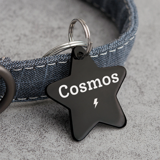 Cat Tag - Gifts Star Tags For Cats Personalized Engraved Cute Stat