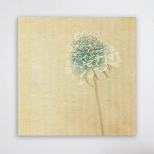 I Almost Wished by Jennifer Jorgensen - Wrapped Canvas Graphic Art Print