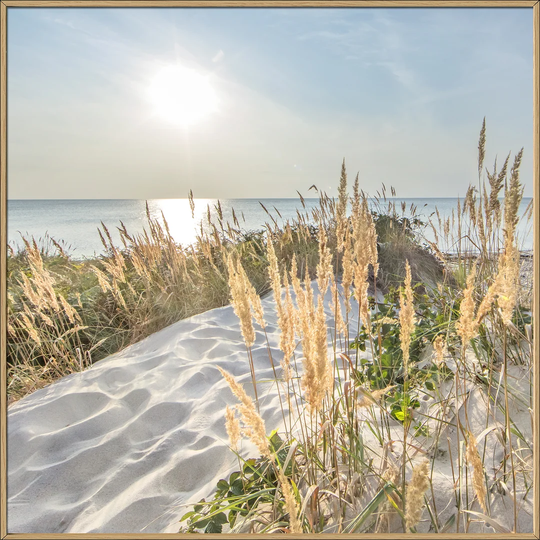 Look To The Horizon Framed Graphic Art Print Poster