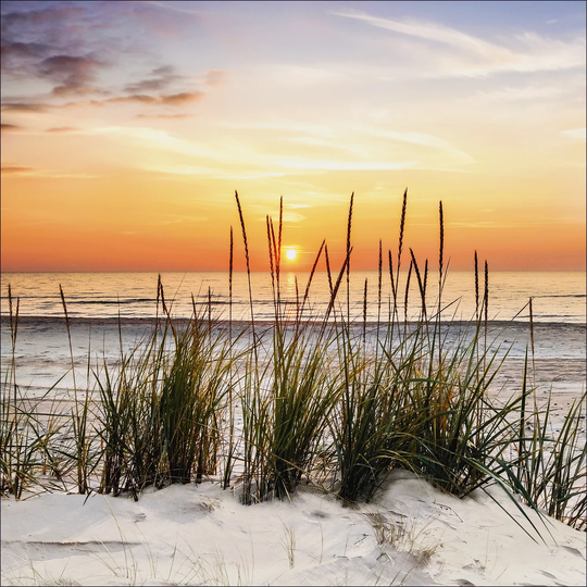 Lonely Dune - Graphic Art Print