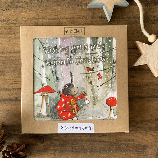 Hedgehog Stocking Boxed Christmas Cards 8 Pack | xb12