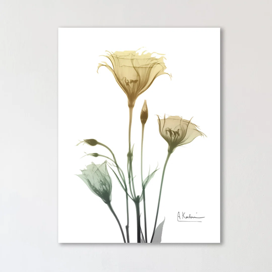Ocre Bloom 1 - Wrapped Canvas Graphic Art Print