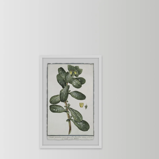 The Foliage by Parvez Taj - Picture Frame Graphic Art Print on Paper