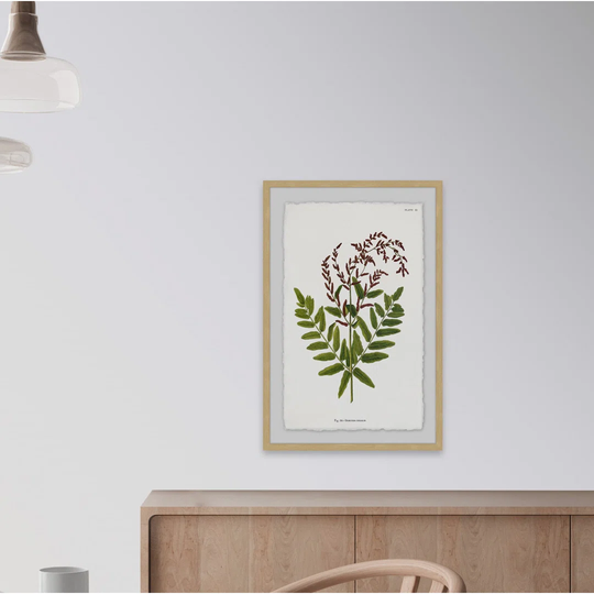 Sympathy Ferns - Picture Frame Graphic Art Print on Paper