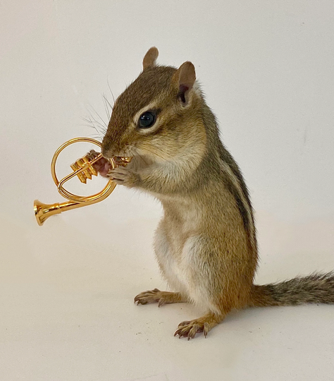 Chipmunk Playing Horn Notecard
