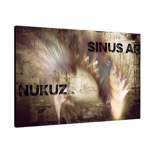 Enigma Abstract 325 Graphic Art Print on Canvas