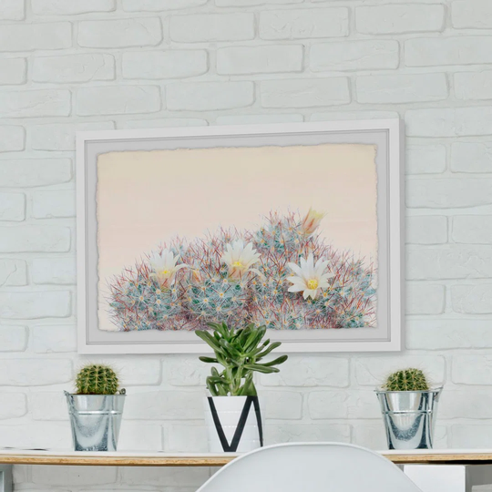 Flowering Succulent - Picture Frame Graphic Art Print on Paper