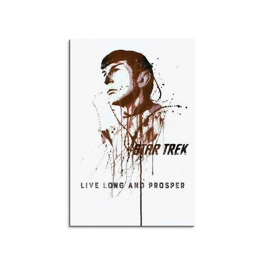 Enigma Star Trek Spock Graphic Art Print on Canvas