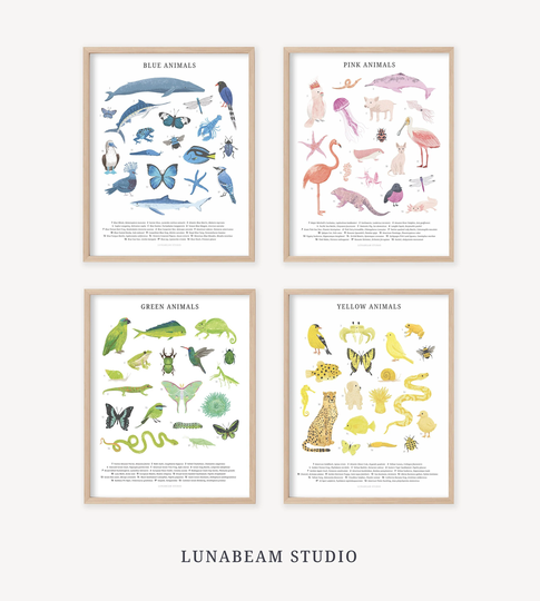 Animal Scientific Illustration Set Of Four - Nursery Decor, Playroom Wall, Children's Art Print, Learning Animals, Kids Room