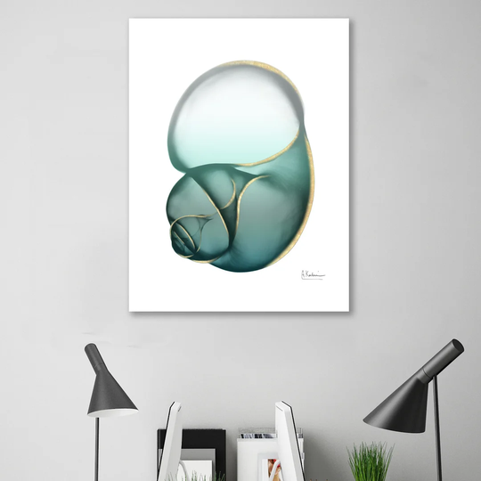 Shimmering Snail - Wrapped Canvas Graphic Art Print