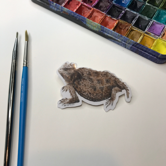 Vinyl Desert Horned Lizard Sticker Decal - Durable Weatherproof For Laptop, Water Bottle, Planner-Arizona Wildlife Series