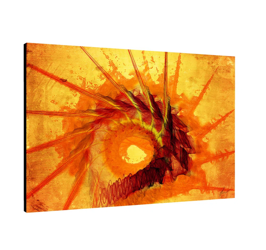 Abstract 014 Graphic Art Print on Canvas