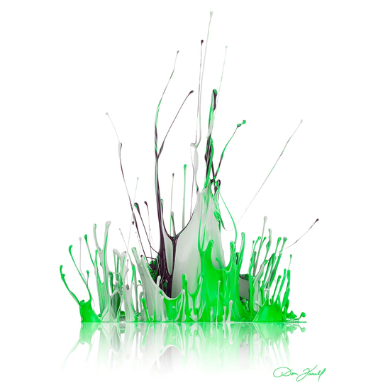 The Rhythm of Spring by Don Farrall - Wrapped Canvas Graphic Art Print