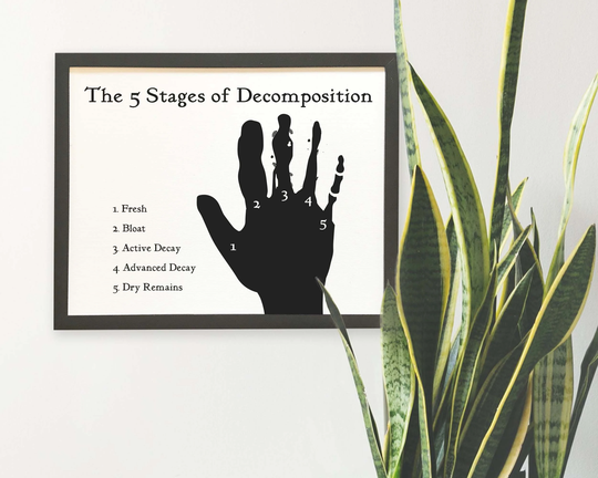 5 Stages Of Decay, Decomposition, Decor, Wall Hanging, Goth Dark True Crime, Hand, Silhouette, Skeleton