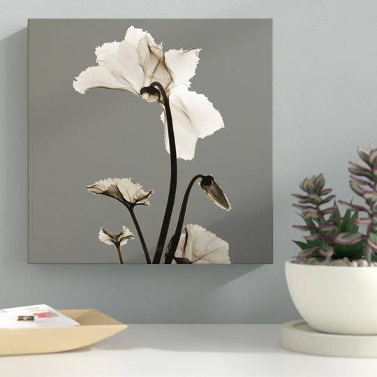 Gray Luster Cyclamen - Wrapped Canvas Graphic Art Print on Canvas