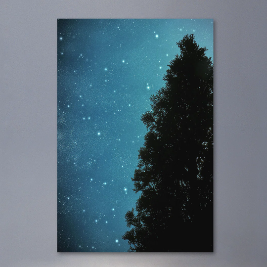 Star Light by Robert Dickinson - Wrapped Canvas Graphic Art Print