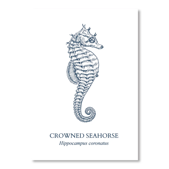 Seahorse Sea - Unframed Graphic Art Print on Paper