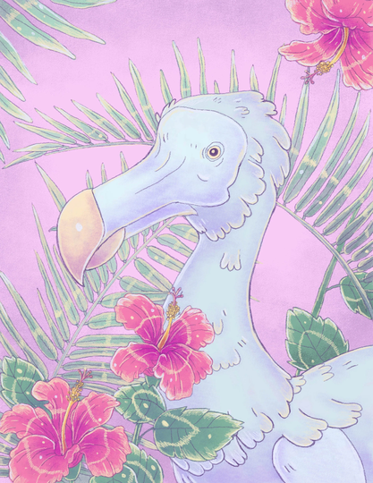 Tropical Dodo