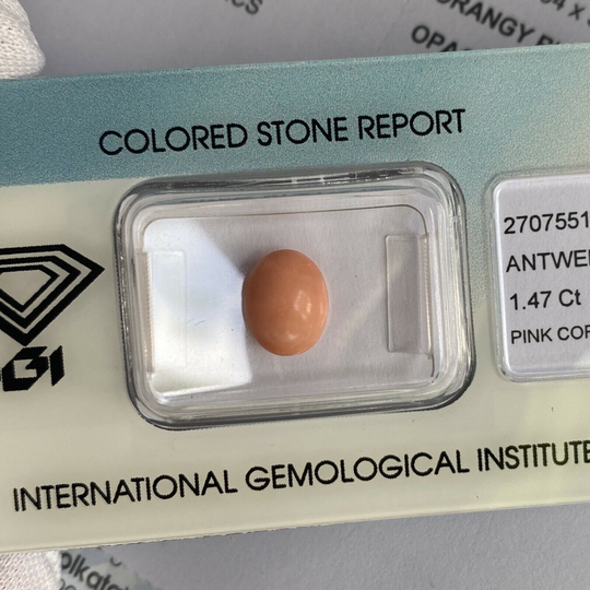 Rare Natural Orange Pink Untreated Coral 1.47Ct Oval Cabochon Igi Certified