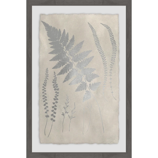 Vintage Fern Study X - Picture Frame Graphic Art Print on Paper