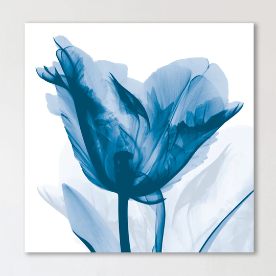 Lust Blue Tulip_H30 - Wrapped Canvas Graphic Art Print