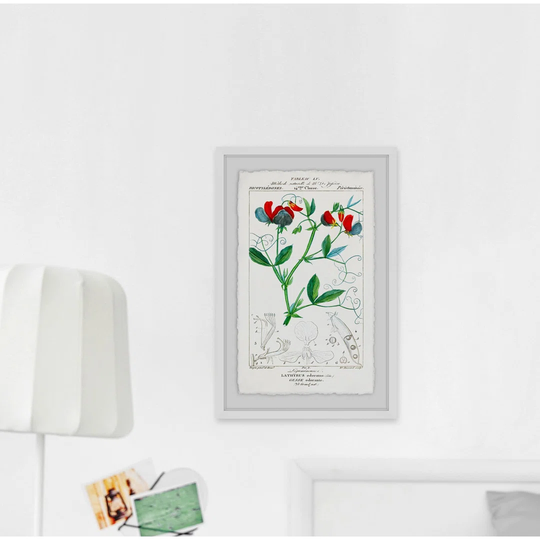 'TurpinÂ's Tableau' - Picture Frame Graphic Art Print on Paper