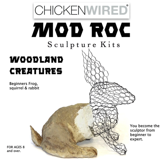 Chickenwired Mod Roc Sculpture Kit Gift Box - Woodland Creatures