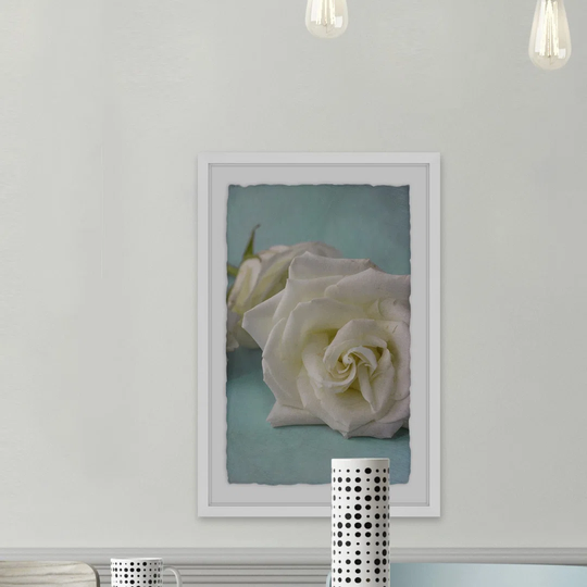 The Original White Rose by Judy Stalus - Graphic Art Print