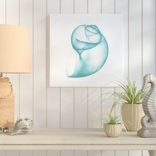 Turquoise Water Snails - Wrapped Canvas Graphic Art Print