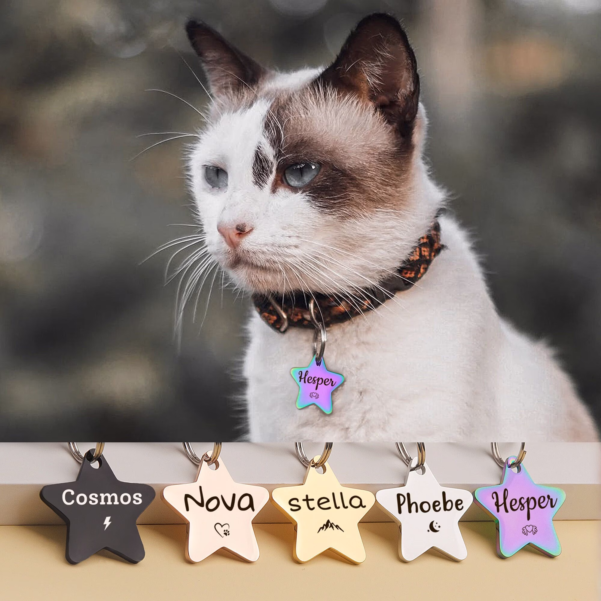 Cat Tag - Gifts Star Tags For Cats Personalized Engraved Cute