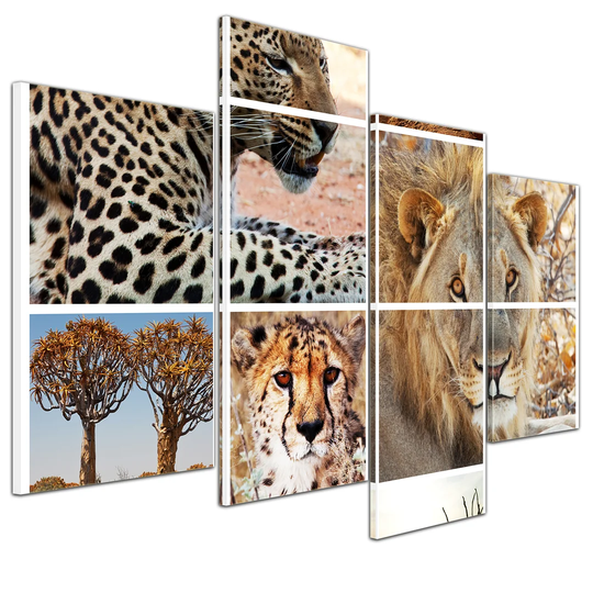 Africa Collage I 4-Piece Graphic Art on Canvas Set