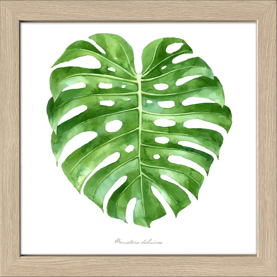 Green Leaf Framed Graphic Art Print