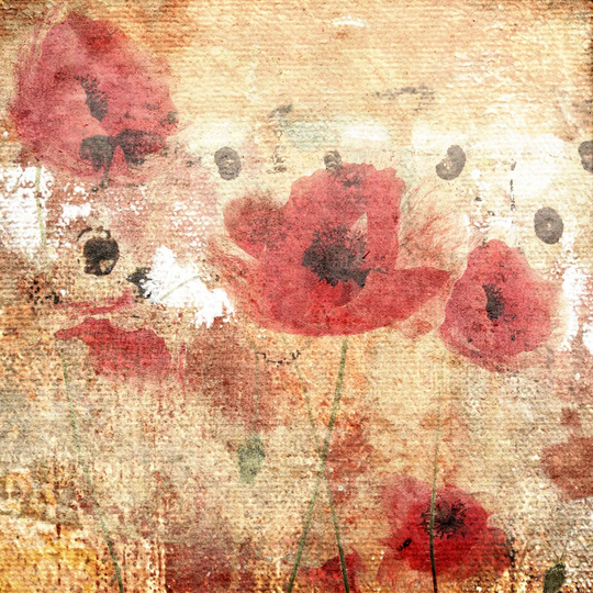Sunset Poppy Field I by Irena Orlov - Wrapped Canvas Graphic Art Print