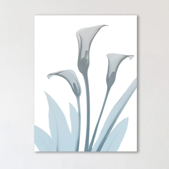 Serene Calla Lily 2 - Wrapped Canvas Graphic Art Print