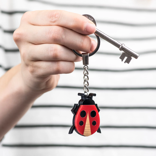 Ladybird Red Acrylic Keyring