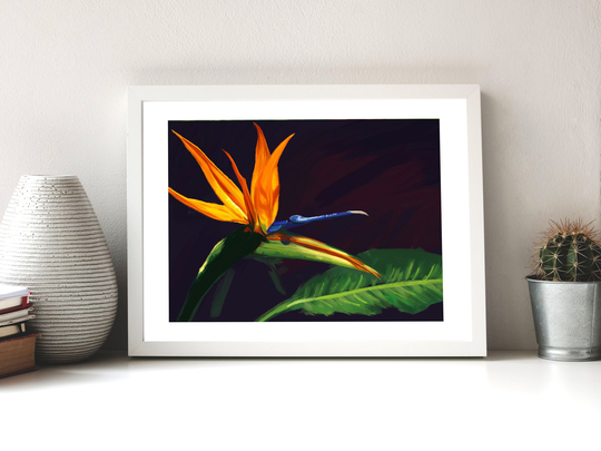 Fine Art Print - Bird Of Paradise Strelitzia Flower Oil Painting A4 A5