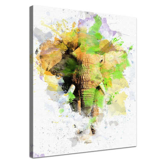 Tiffani Light Graphic Art Print on Canvas
