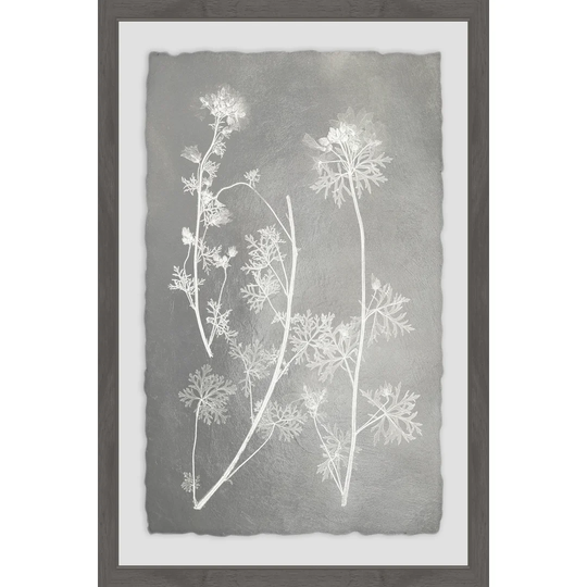 Herbarium Study V - Picture Frame Graphic Art Print on Paper