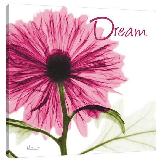 Pink Chrysanthemum Dream - Wrapped Canvas Graphic Art Print