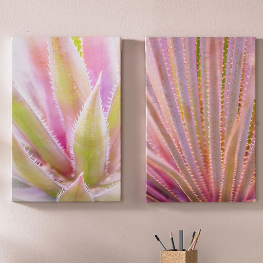 'Blushed Tropics' 2 Piece Graphic Art Print Set on Wrapped Canvas