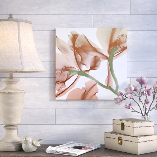 Peach Luster Cyclamen 1 - Wrapped Canvas Graphic Art Print on Canvas