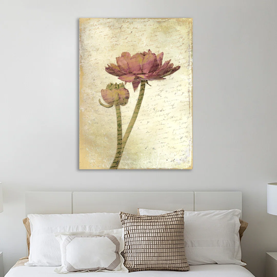 Ranunculus Bloom 1 by Kimberly Allen - Wrapped Canvas Graphic Art Print