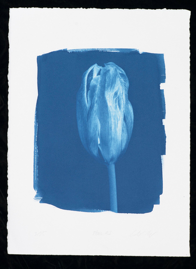 Flower #2