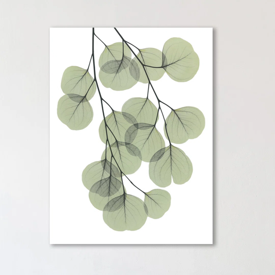 Descending Eucalyptus 2 - Wrapped Canvas Graphic Art Print
